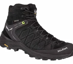 Alp Trainer 2 Mid GTX Men