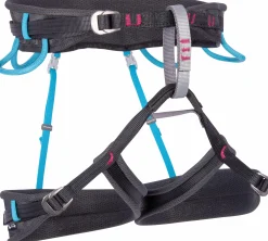 Aurora Black/Light Blue