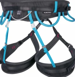 Aurora Black/Light Blue