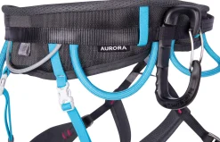 Aurora Black/Light Blue