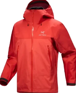 Beta AR Jacket Stormhood Dynasty