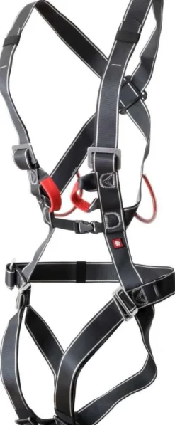 Bodyguard Komplettgurt