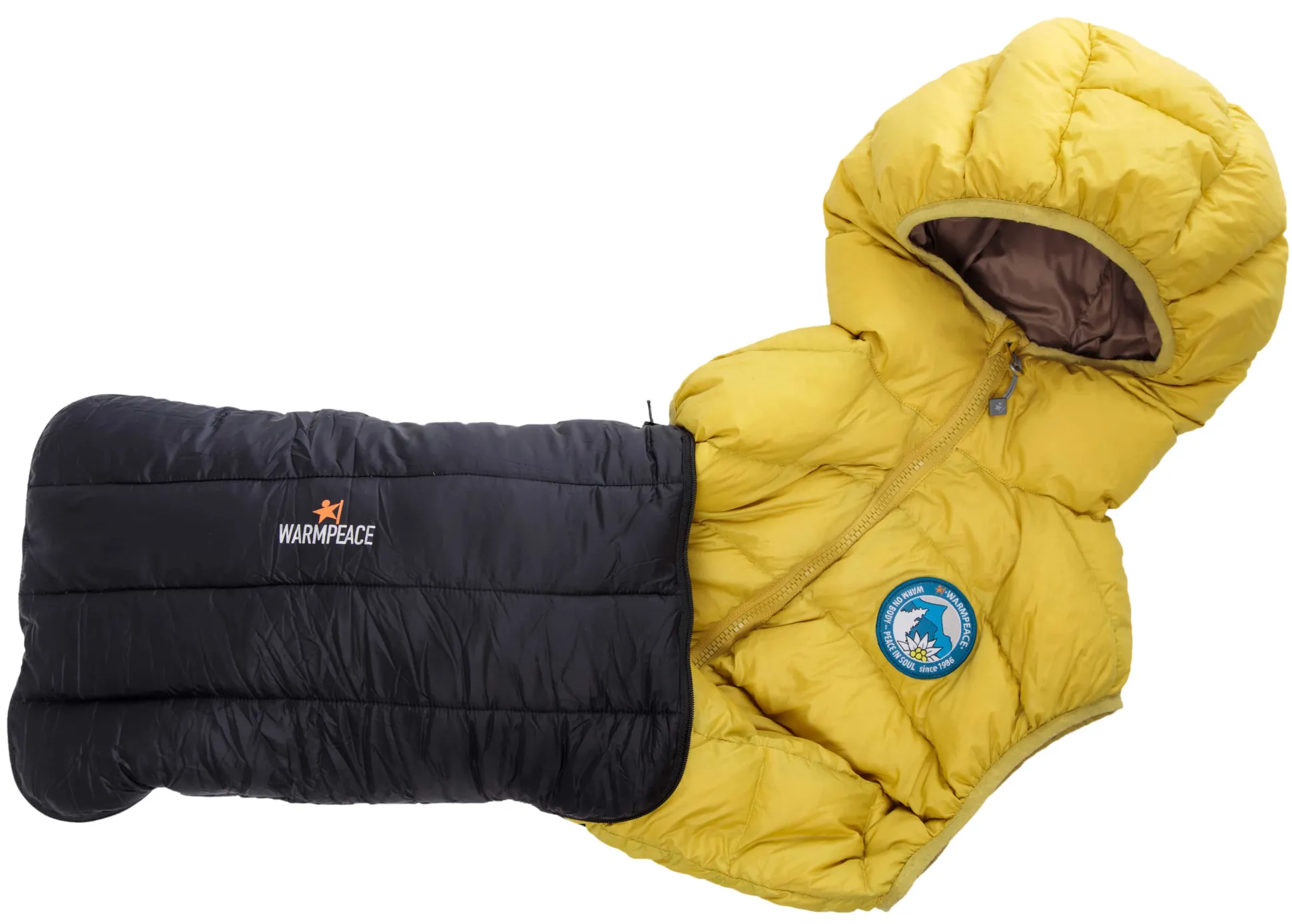 Down Pillow Zippered iron