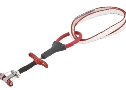 Dragonfly Micro Cams