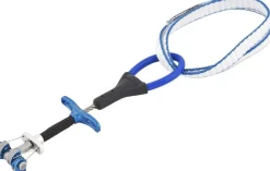 Dragonfly Micro Cams