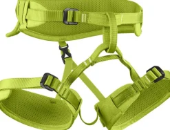 Finn Kindergurt III - oasis - XS