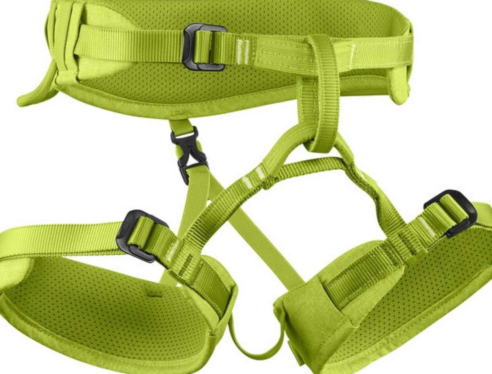 Finn Kindergurt III - oasis - XS