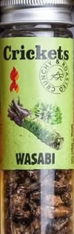 Ganze Grillen Wasabi