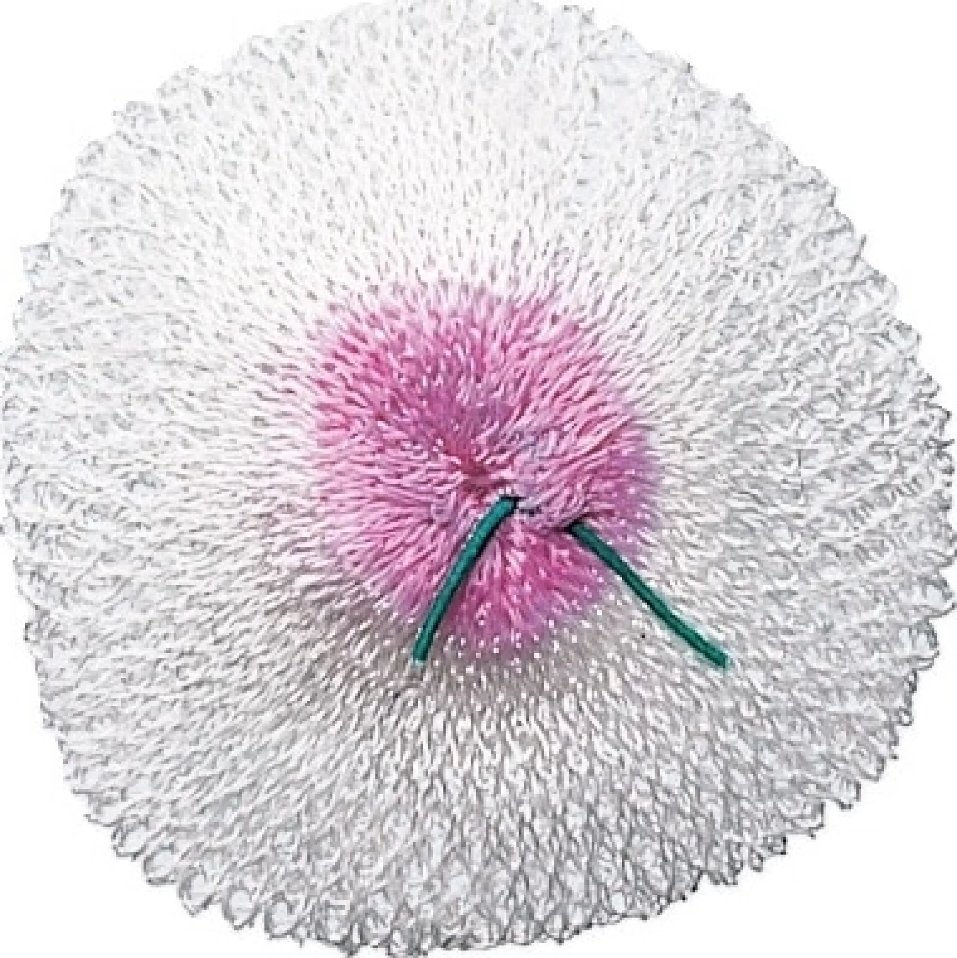 Glühstrümpfe Primus 3 Stück