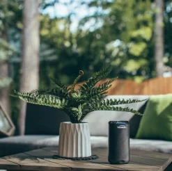 Halo Mini - graphite