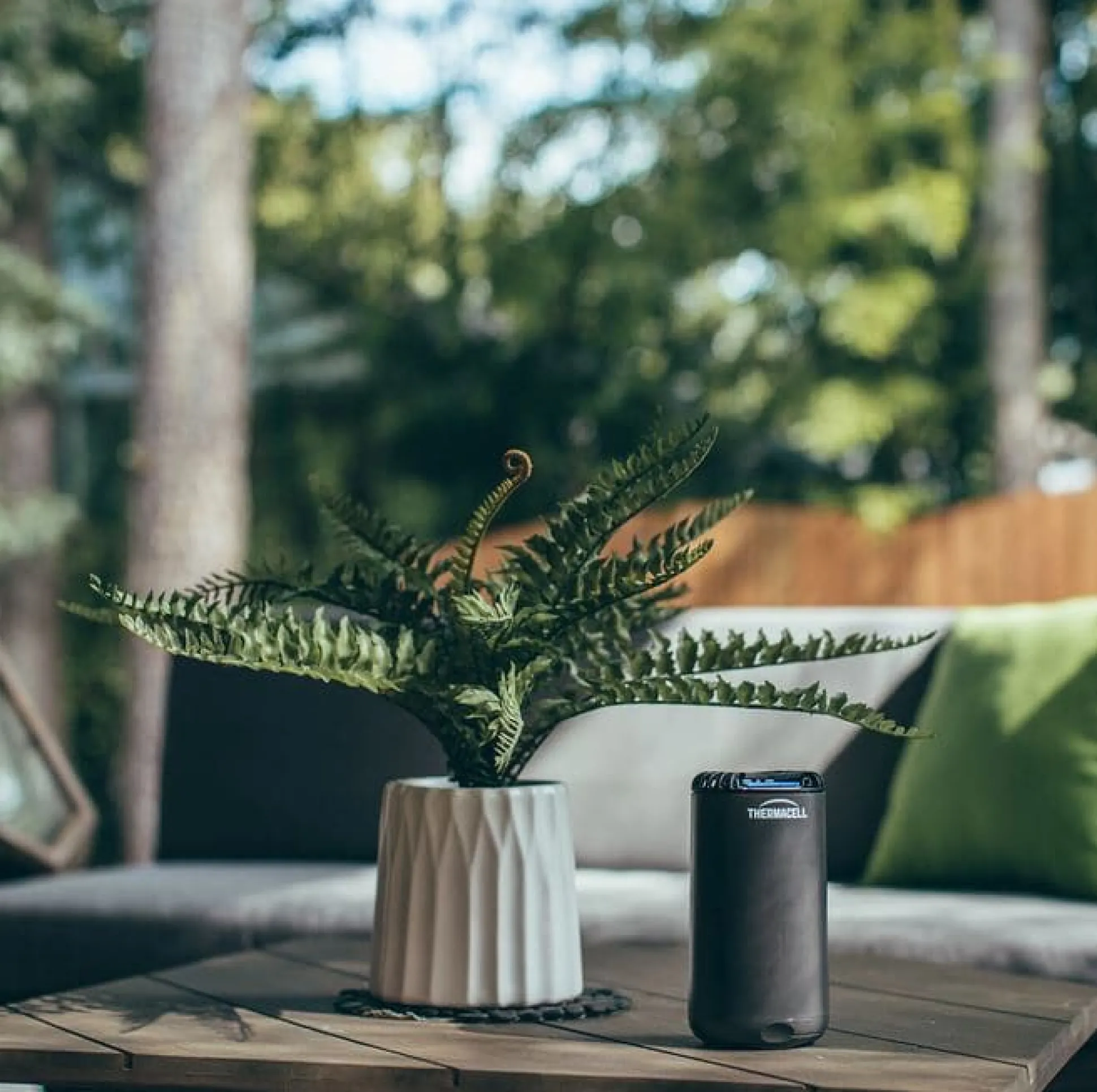 Halo Mini - graphite