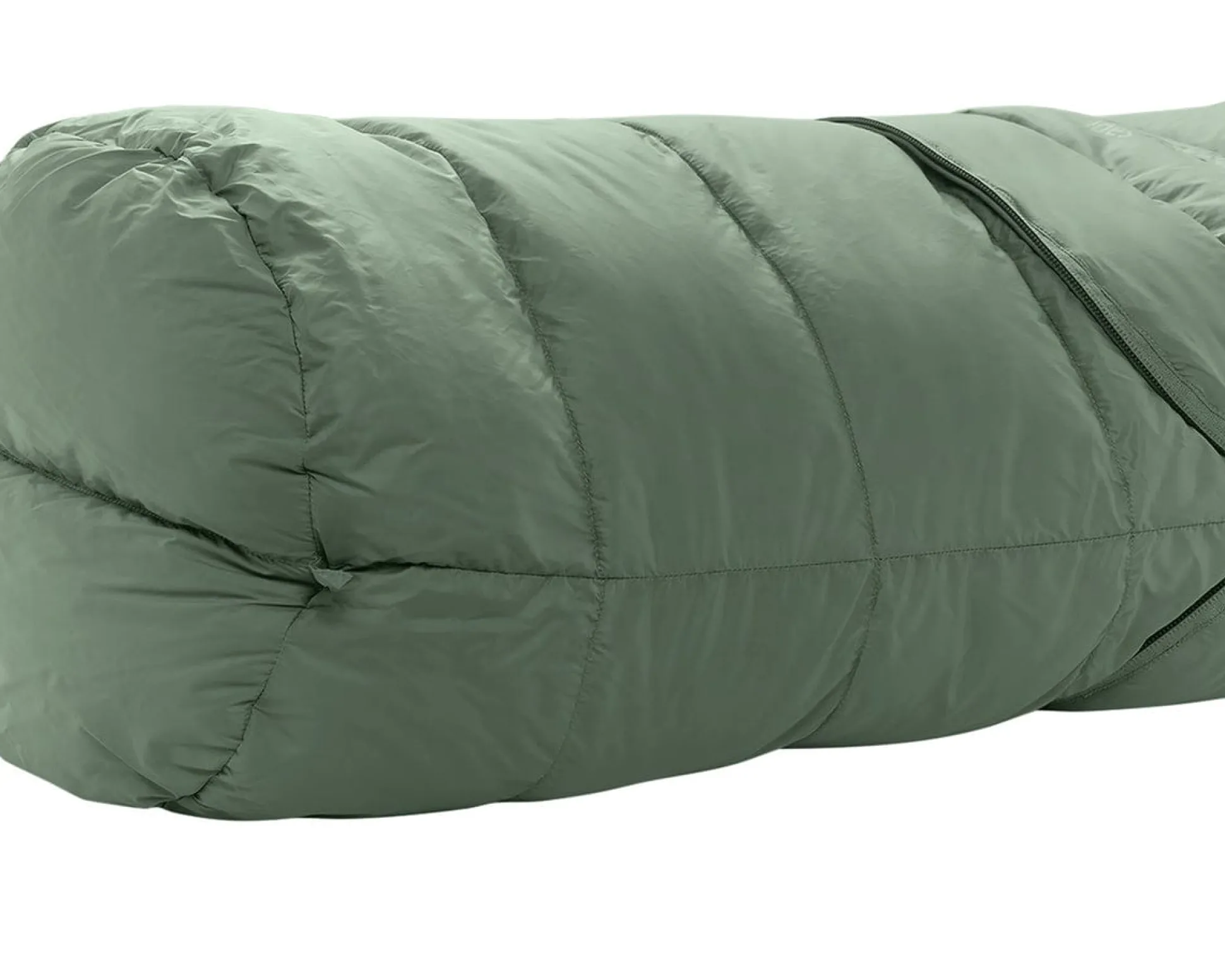 Ides Junior Hedge Green 130