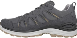 Innox Evo II GTX Anthrazit/Bronze
