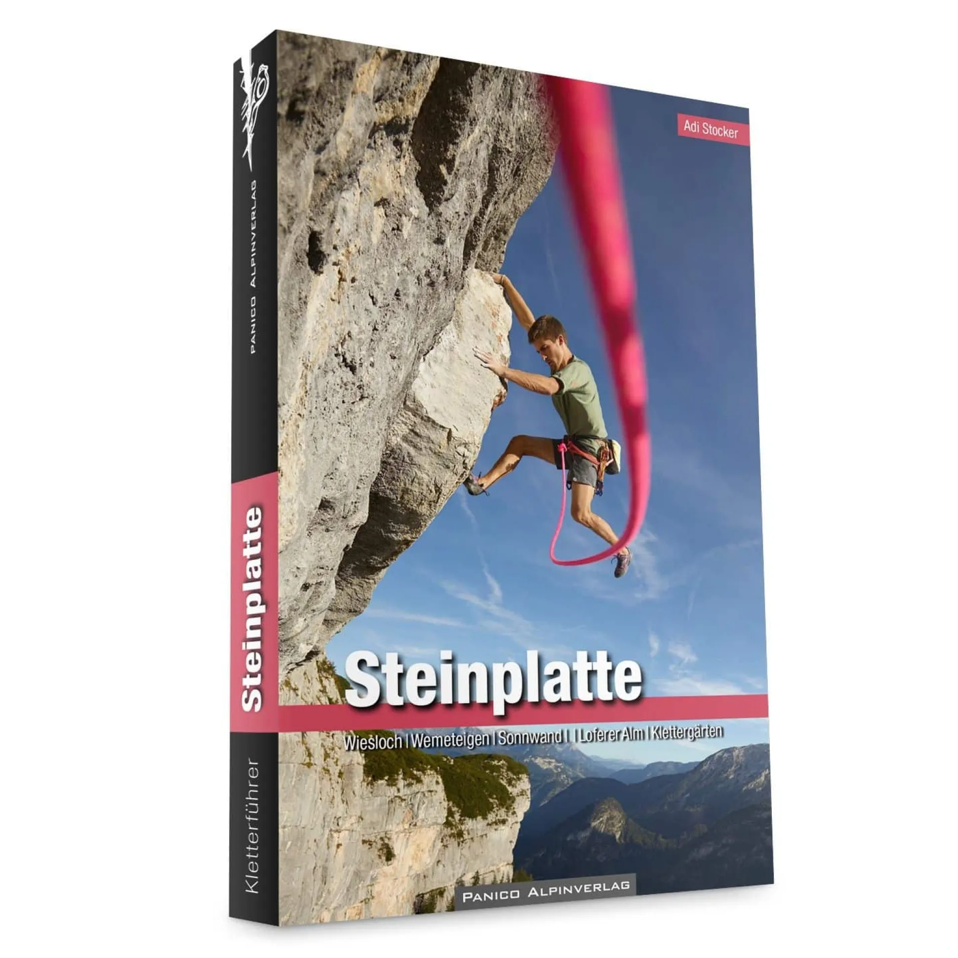 Kletterführer Steinplatte