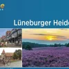 Lüneburger Heide-Radweg