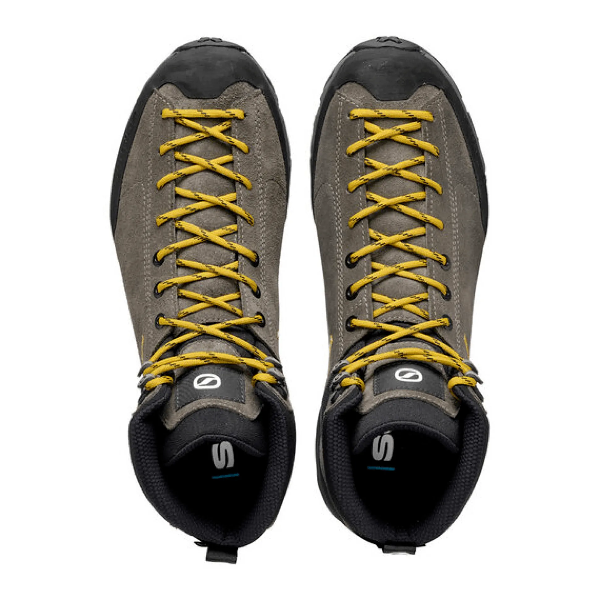 Mojito Hike GTX Titanium/Mustard