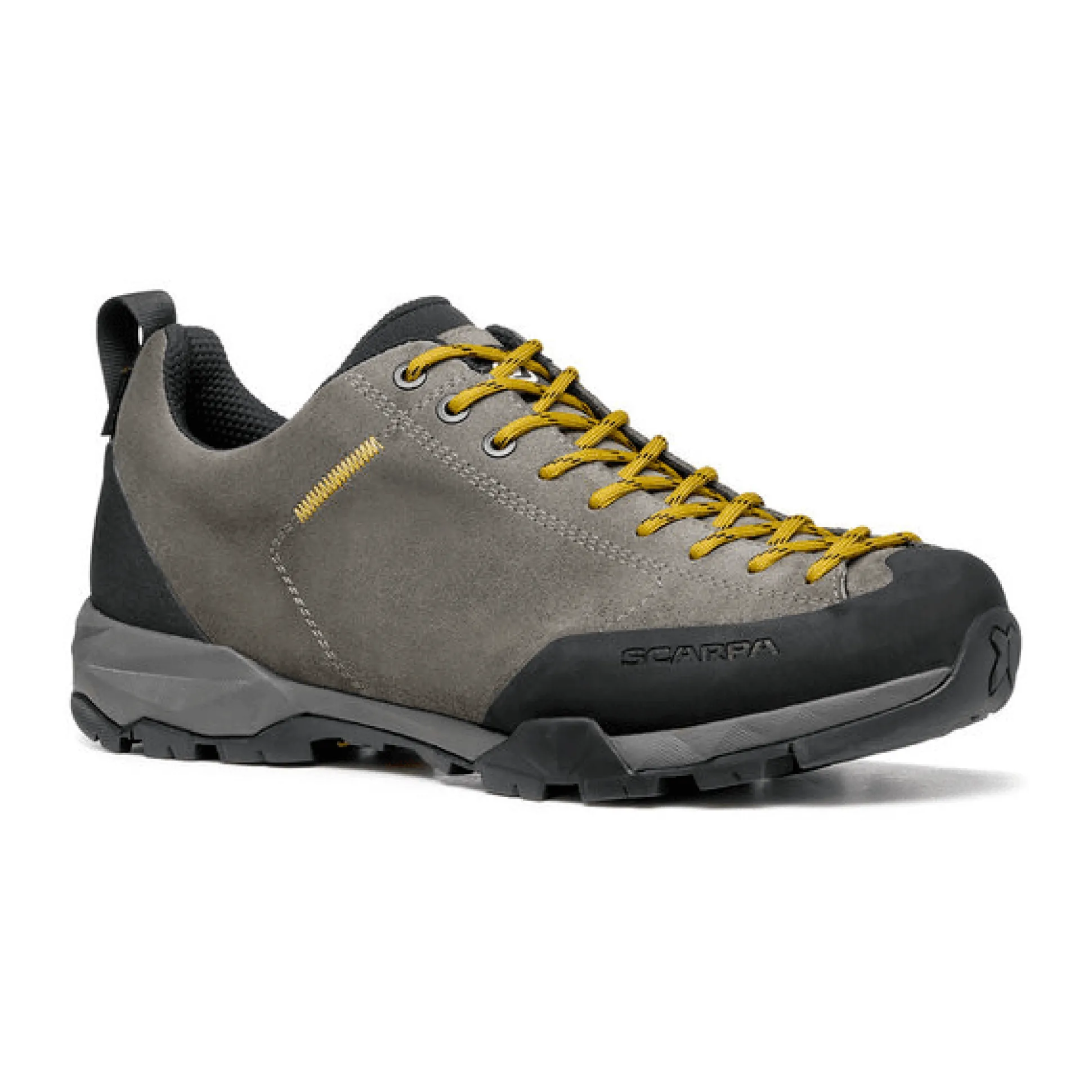 Mojito Trail GTX Titanium/Mustard