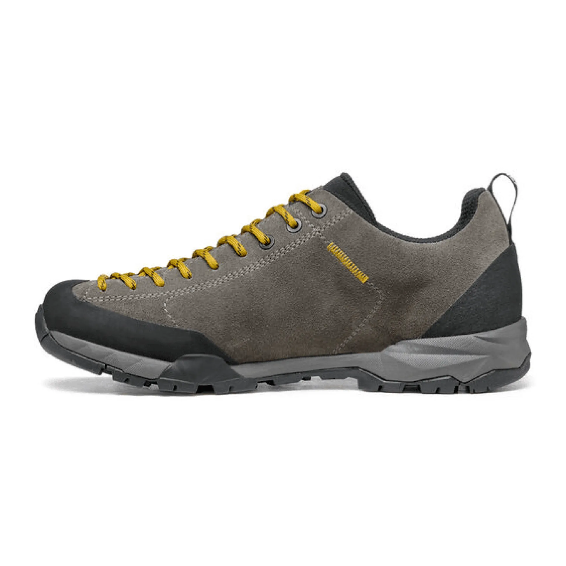 Mojito Trail GTX Titanium/Mustard