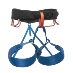 Momentum Harness Kingfisher