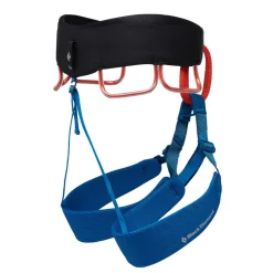 Momentum Harness Kingfisher