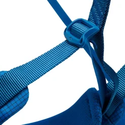 Momentum Harness Kingfisher