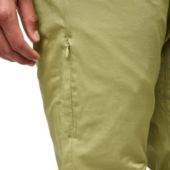 Notion Pant Cedarwood Green