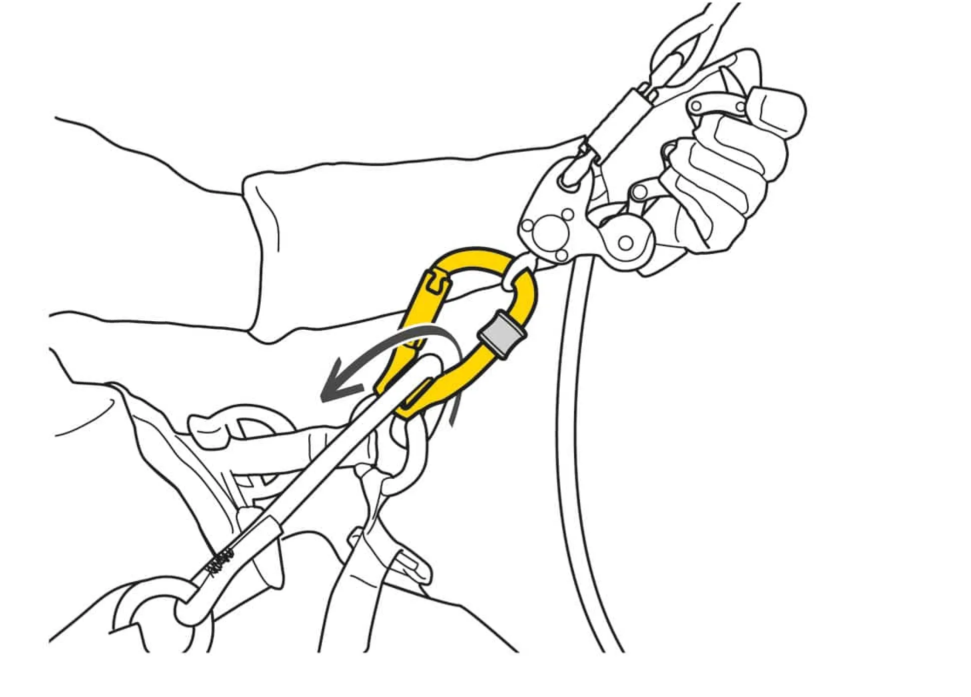 Rollclip Z Triactlock