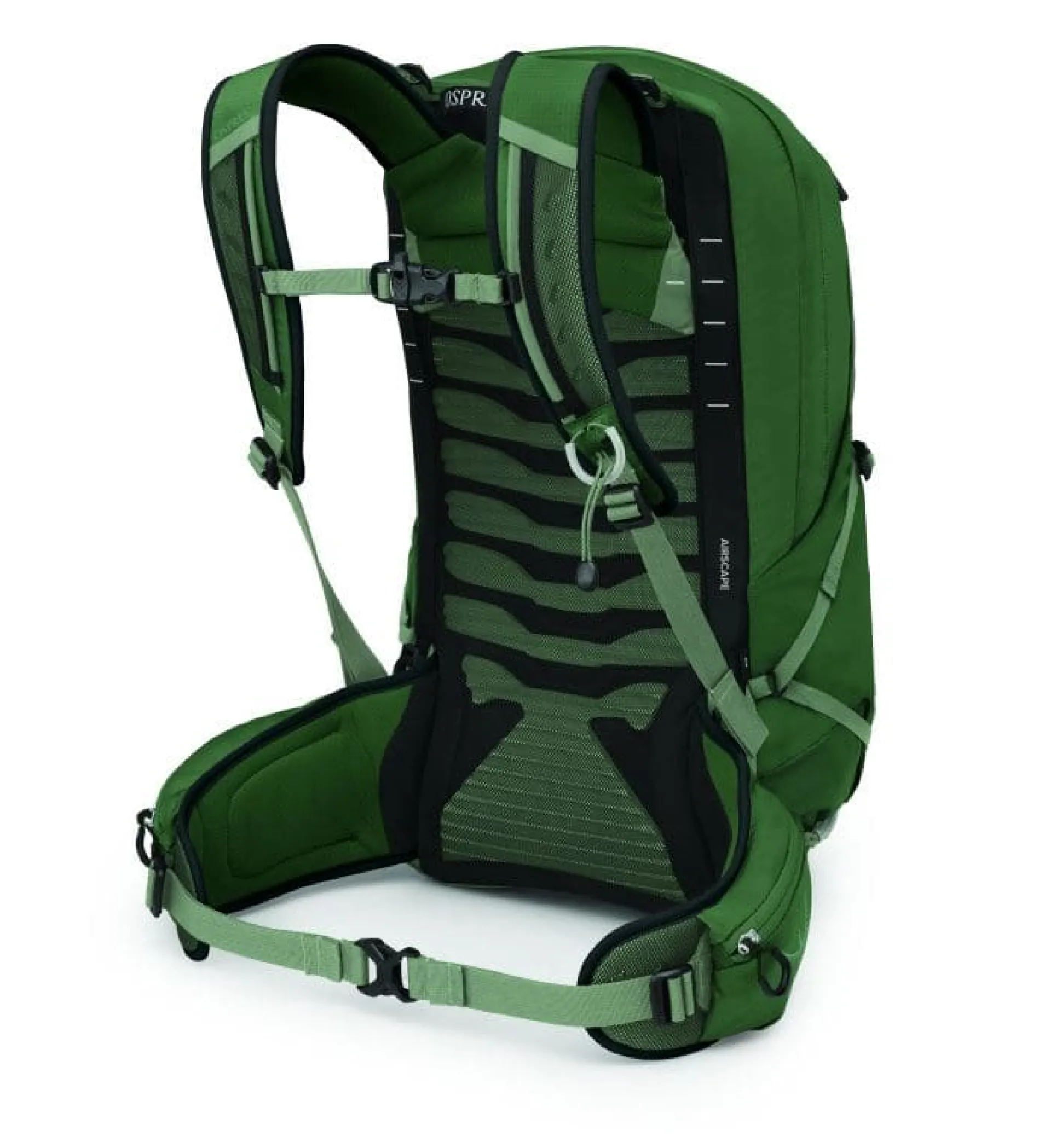 Sportlite 25 - Tungsten / Grey Wolf