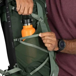 Talon 33 - Canopy / Pine Leaf