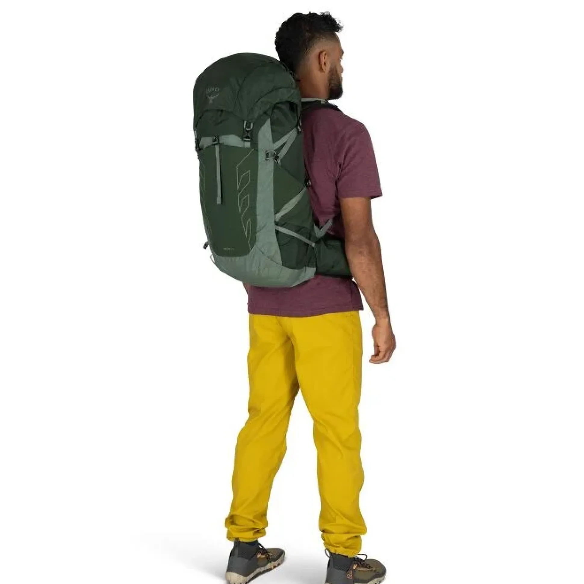 Talon 33 - Canopy / Pine Leaf