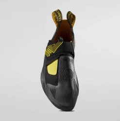 Theory - Yellow/Black