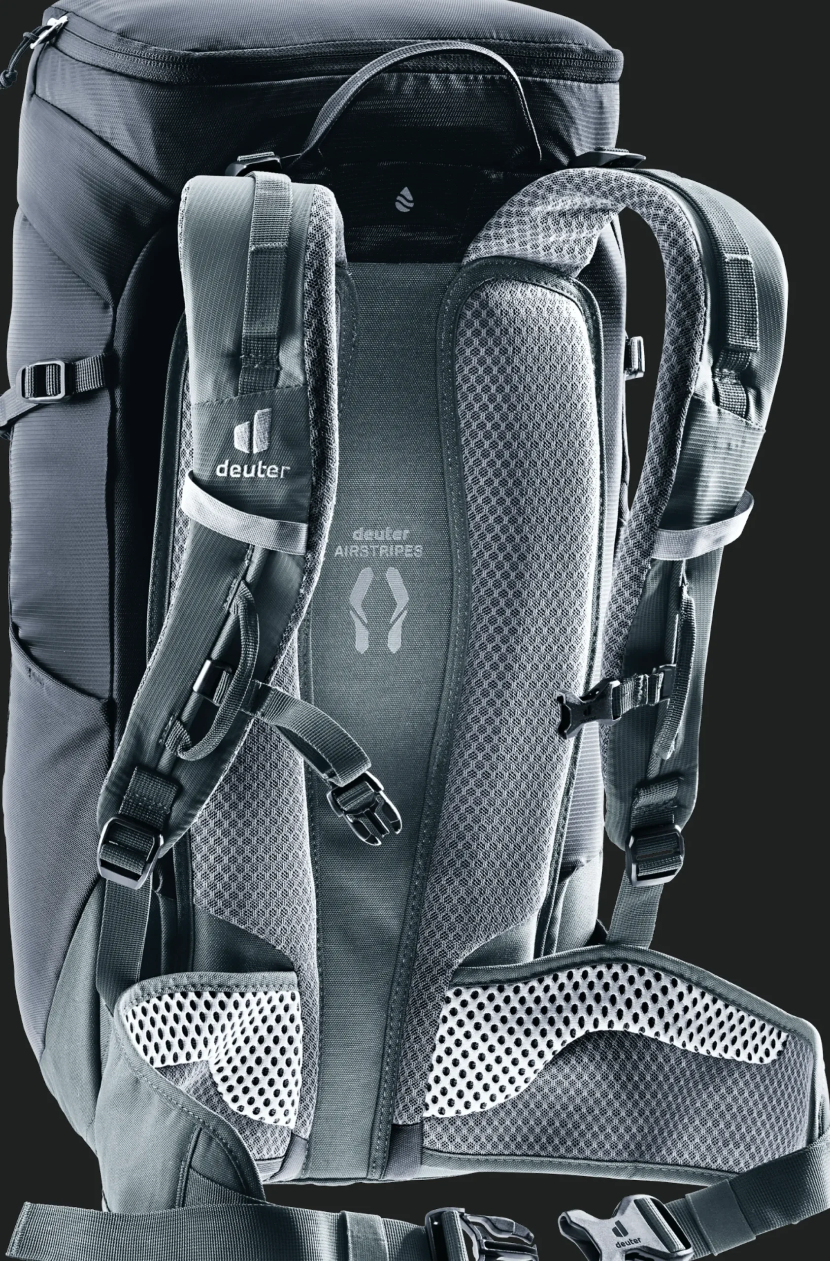 Trail 24 Black Shale